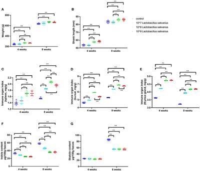 Assessment of Probiotic Properties of Lactobacillus salivarius Isolated From Chickens as <mark class="highlighted">Feed Additives</mark>